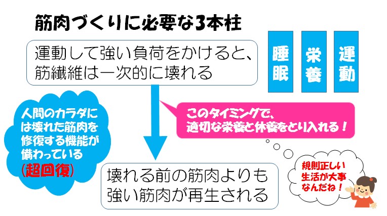 健向ゼミ スポーツと栄養 からだ作りのための効果的な食べかた 複十字病院 公式サイト 東京都 清瀬市