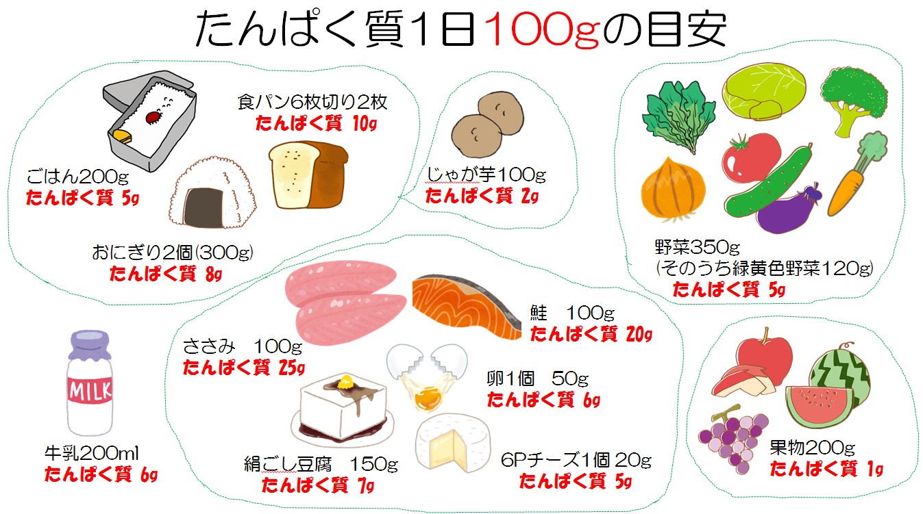 健向ゼミ】「スポーツと栄養~からだ作りのための効果的な食べかた~」 | 複十字病院